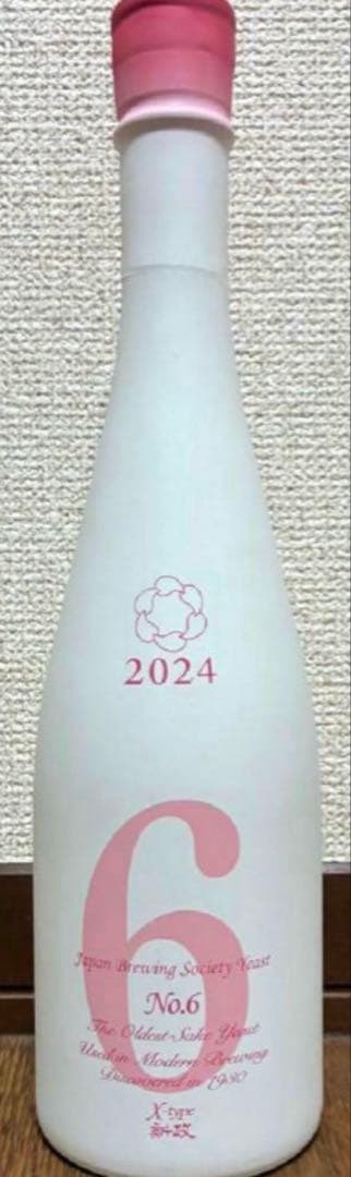 新政　No.6 X-type 2024