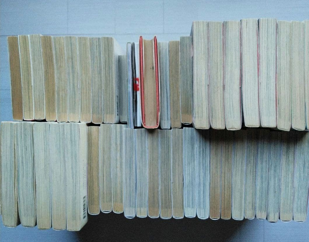 即購入OK★垣野内成美 吸血姫美夕 吸血姫夕維 漫画 まとめ売り