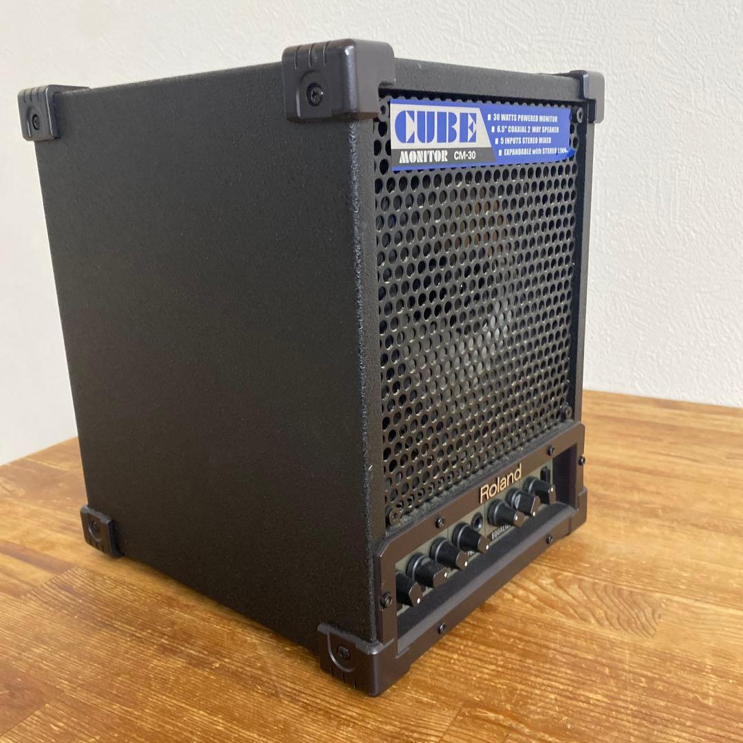 Roland ローランド CM-30 CUBE MONITOR