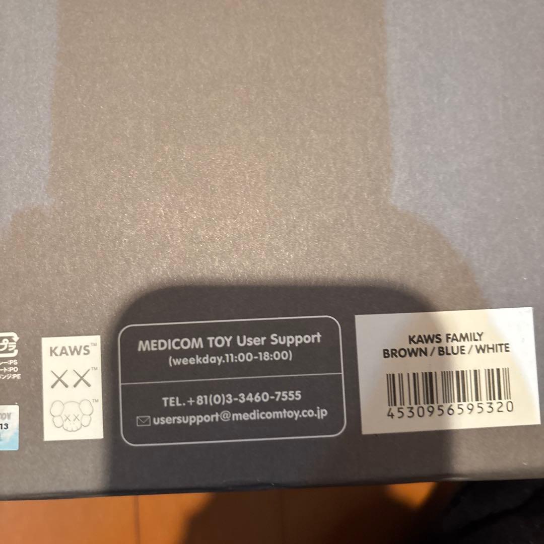 その他 KAWS family brown