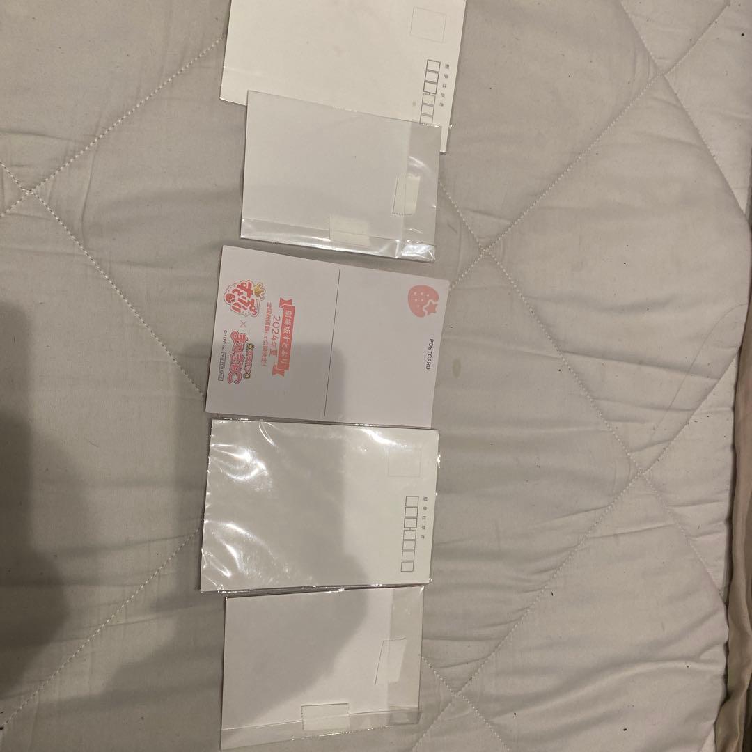 すとぷり　　　ブロマイド