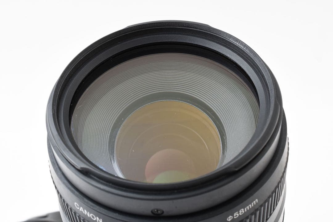 Canon EOS 7D MarkⅡ / Canon EF 75-300mm