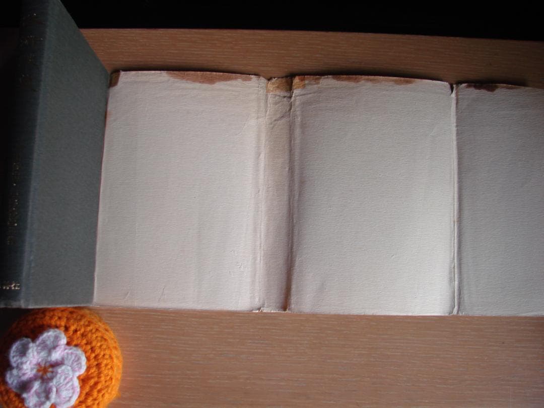 武術談義　甲野善紀　黒田鉄山