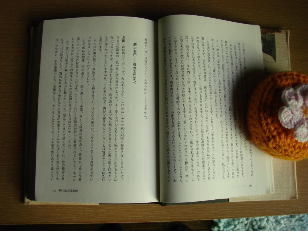 武術談義　甲野善紀　黒田鉄山