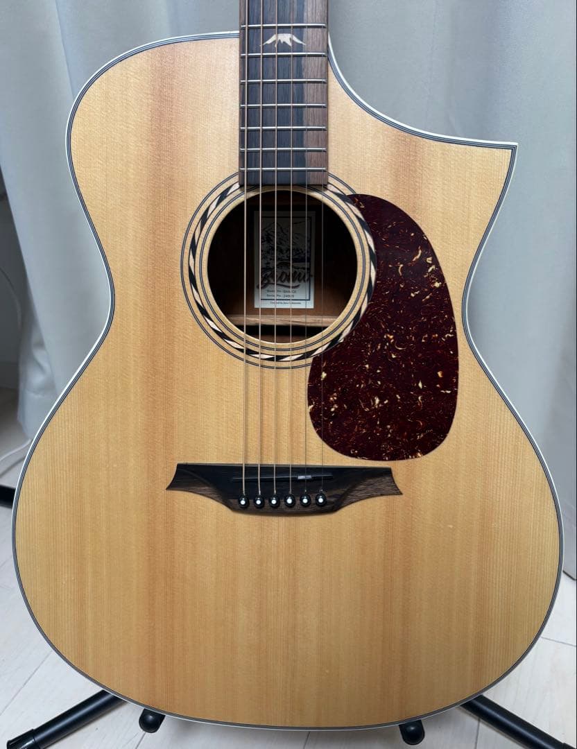 美品　エレアコースティックギター　Bromo BAA4CE