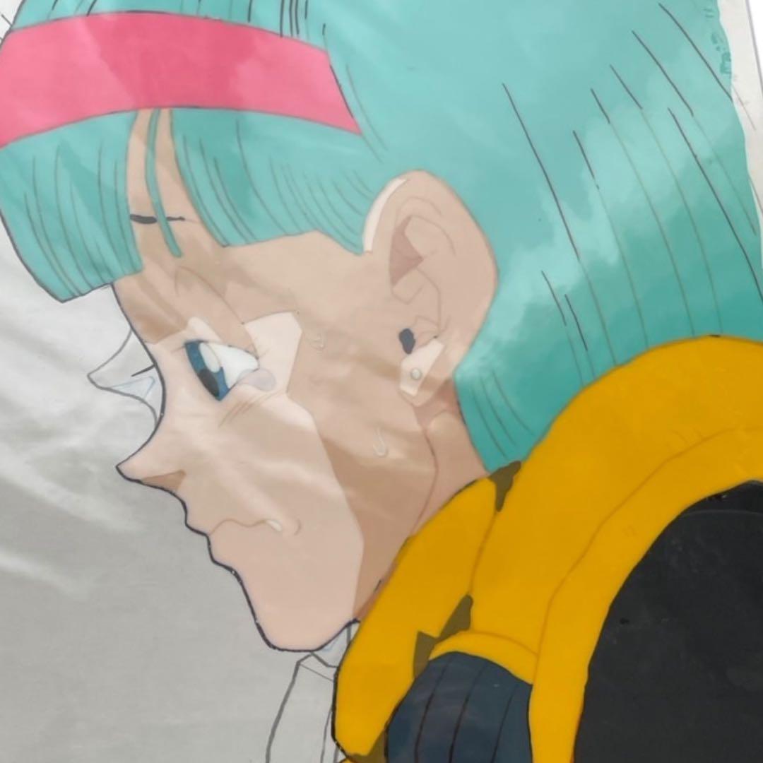 ドラゴンボール (希少)セル画 ブルマ カラー額縁 当時物 鳥山明