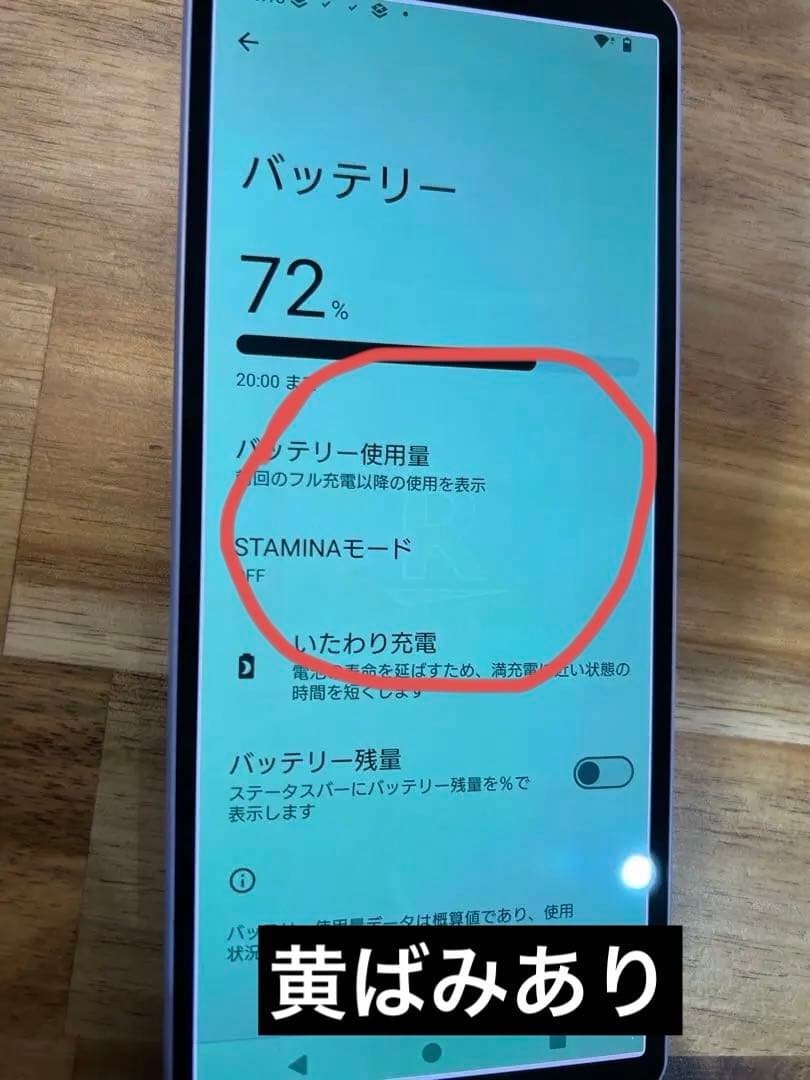 K1373 楽天SIMフリー　Xperia 10 V XQ-DC44