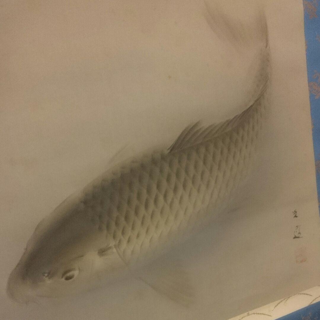 真作「名品希少遺作」掛け軸 鯉の光達 森田光達(雙鯉・妻:ミヨ識箱)