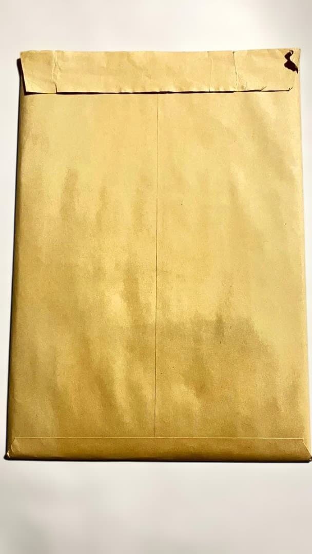 12/14まで値下げONE PIECE 複製原画　ビブルの秘宝②