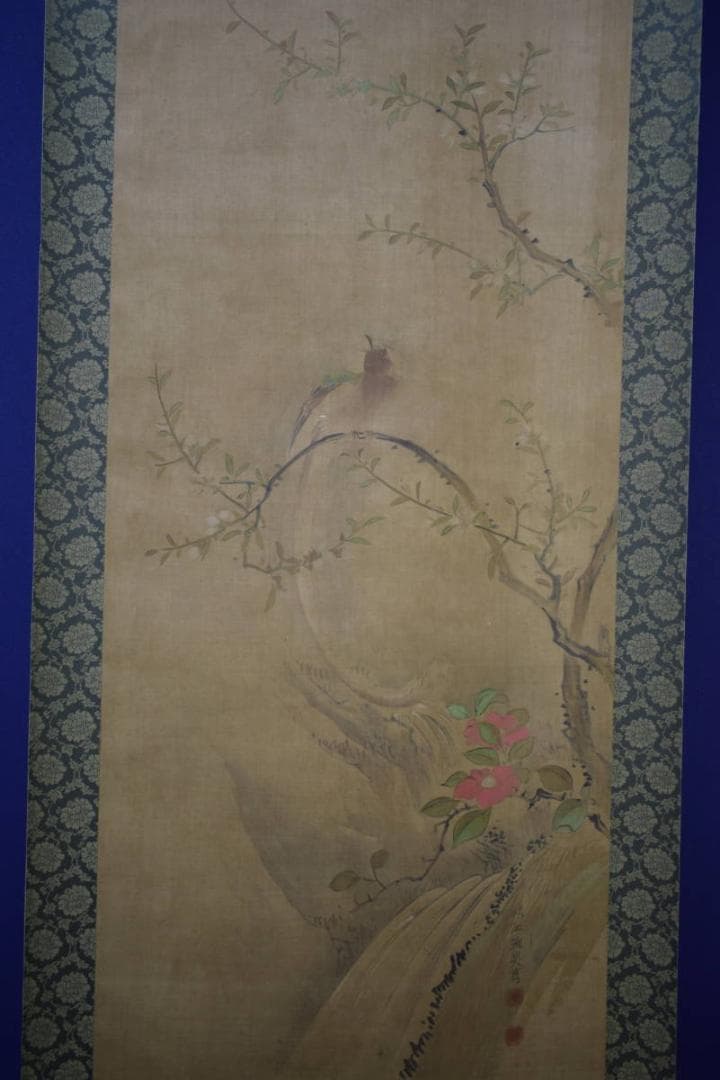 模写/熊代熊斐/椿に小禽図/布袋屋掛軸HI-946