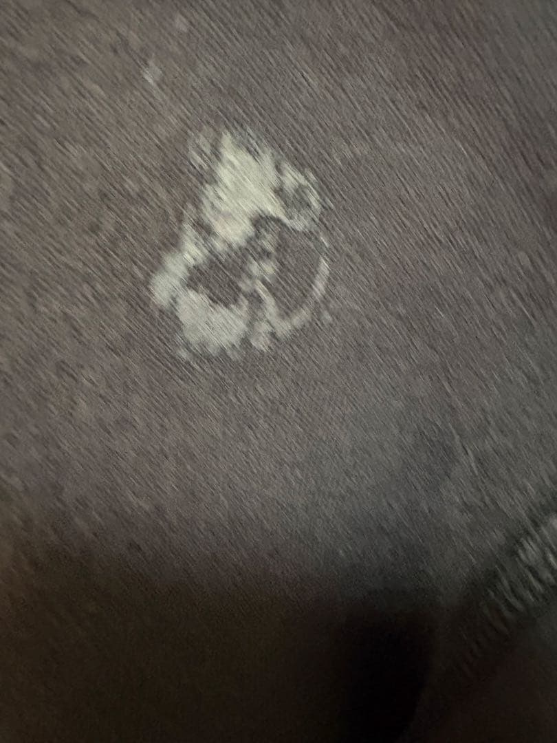 Polo Ralph Lauren ブラック パーカー Sサイズ　正規品