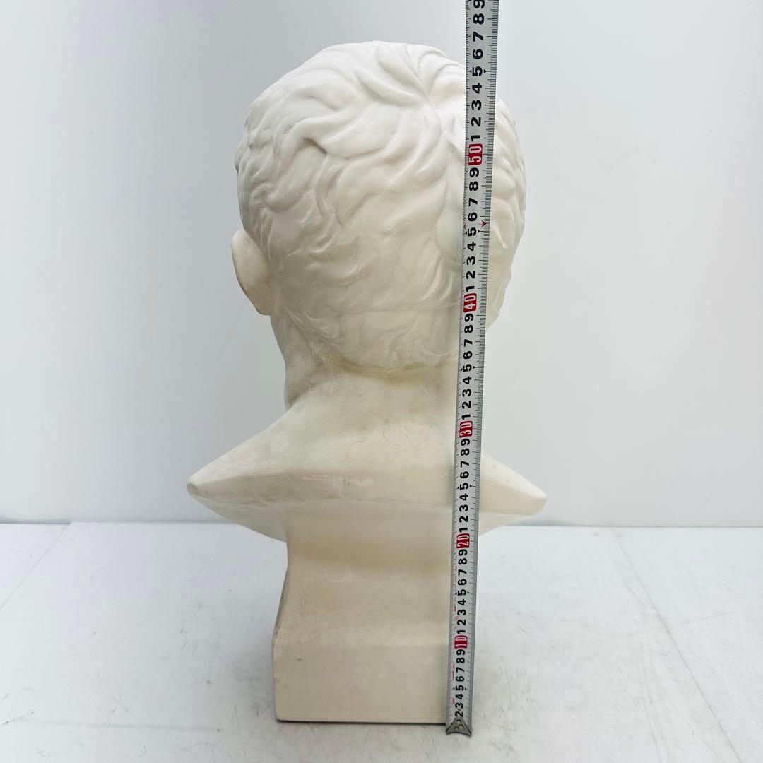 アグリッパ胸像　石膏像