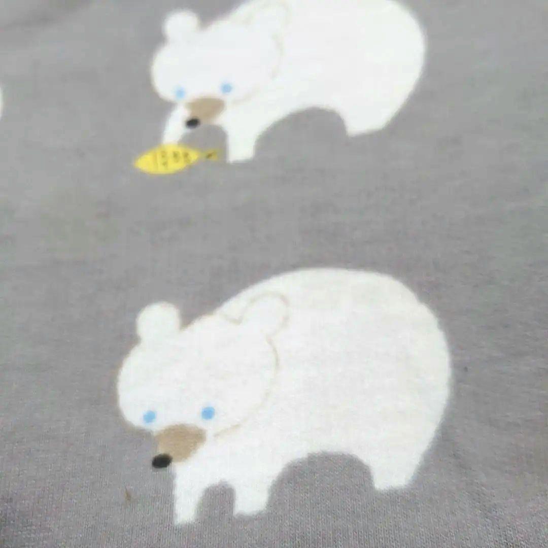 犬服 SS わんこの普段着　青い目のくまちゃん紺色