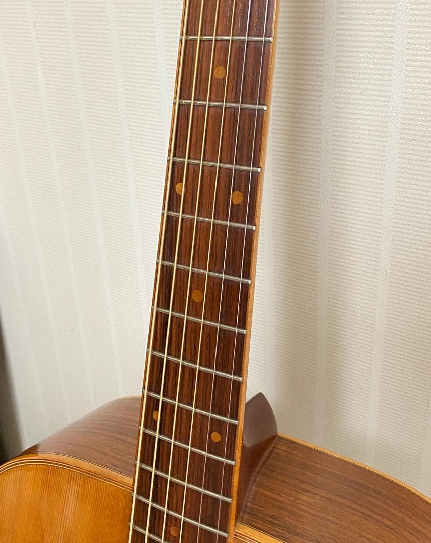 更に値下げいたしました！Jagard（寺田楽器）JD-25M