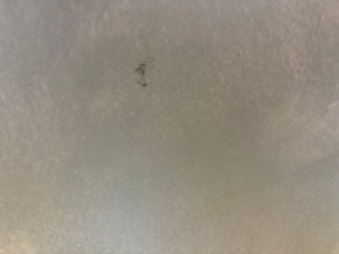 第五人格 オフラインパック 3周年 豪華版 ※衣装特典あり