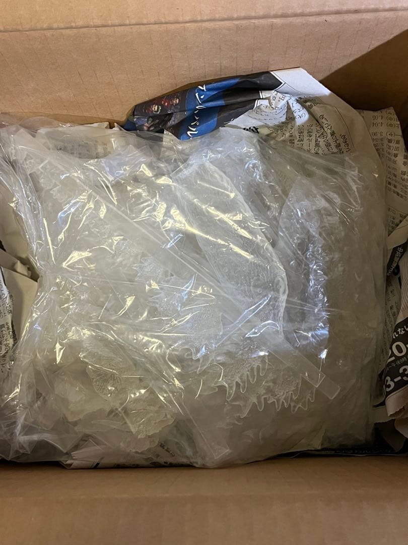 ゴジラ　デスゴジ　透明クリアレジンキット　20cm