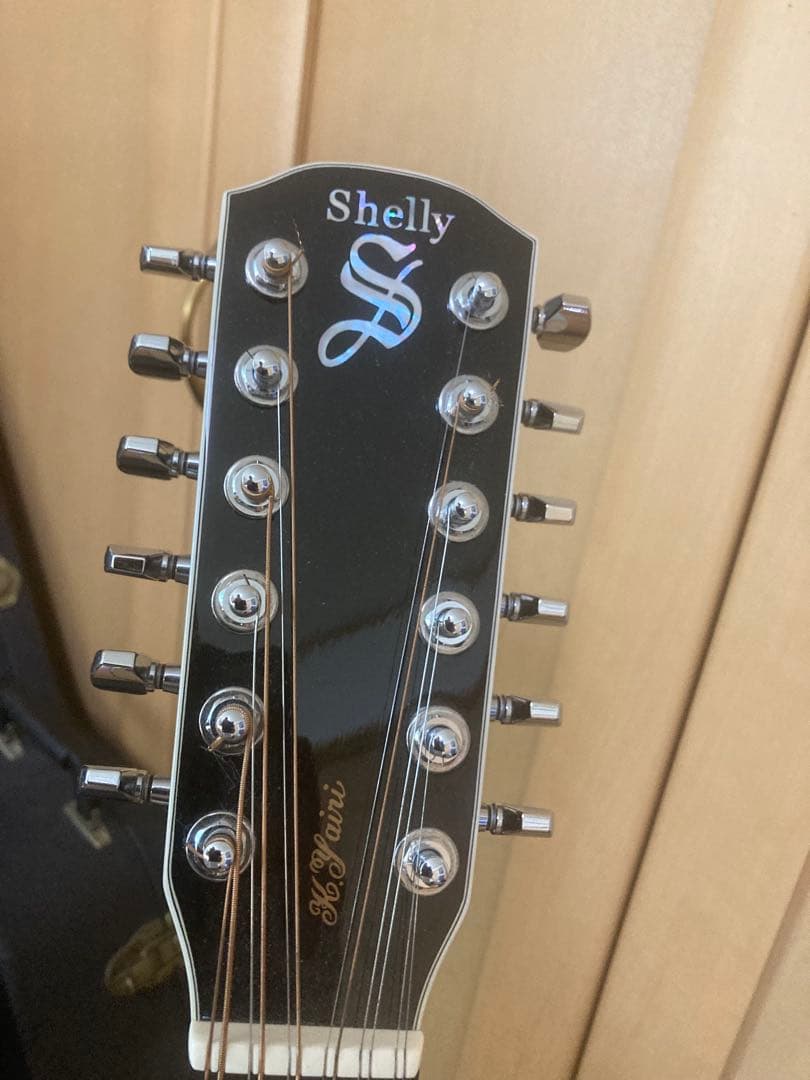 値引き相談可！Shelly SY-MT 12弦アコースティックギター
