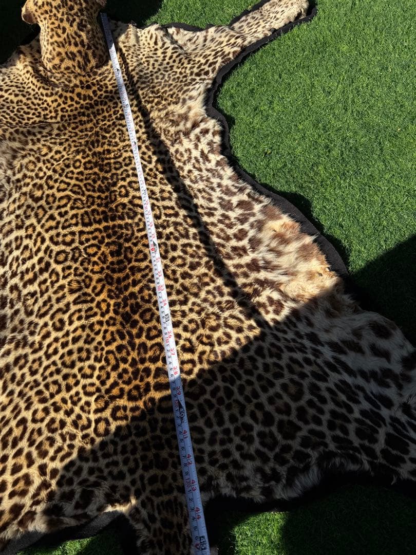 ヒョウの剥製 大型