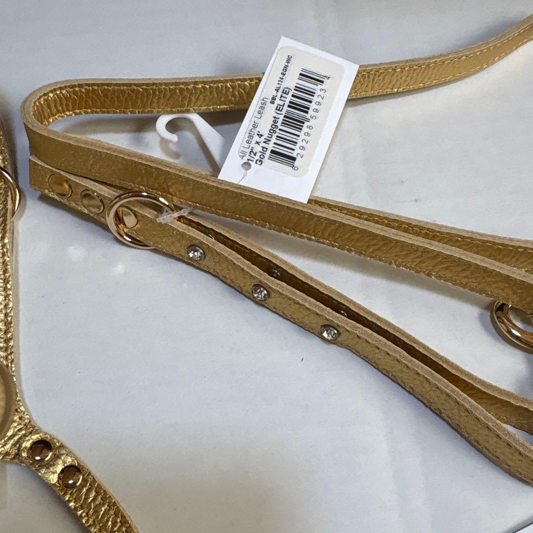 【BUDDY BE LT】Gold Nuggetハーネス.リード セット３号