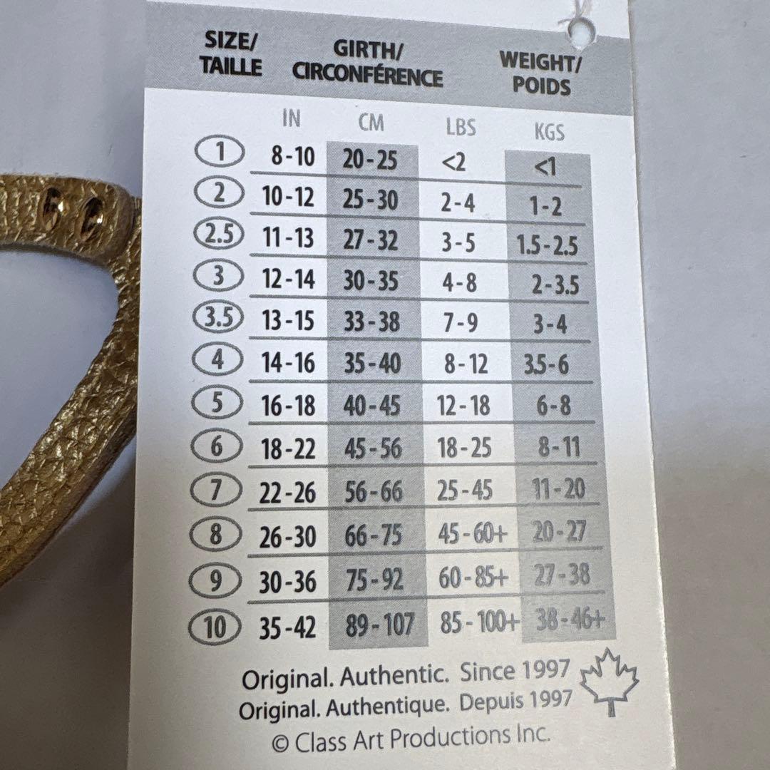 【BUDDY BE LT】Gold Nuggetハーネス.リード セット３号