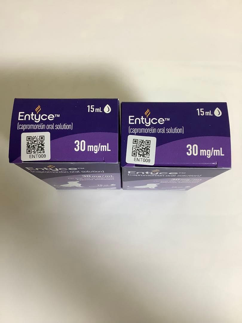 エンタイス15ｍｌ犬用２個セット　未使用　シリング付き