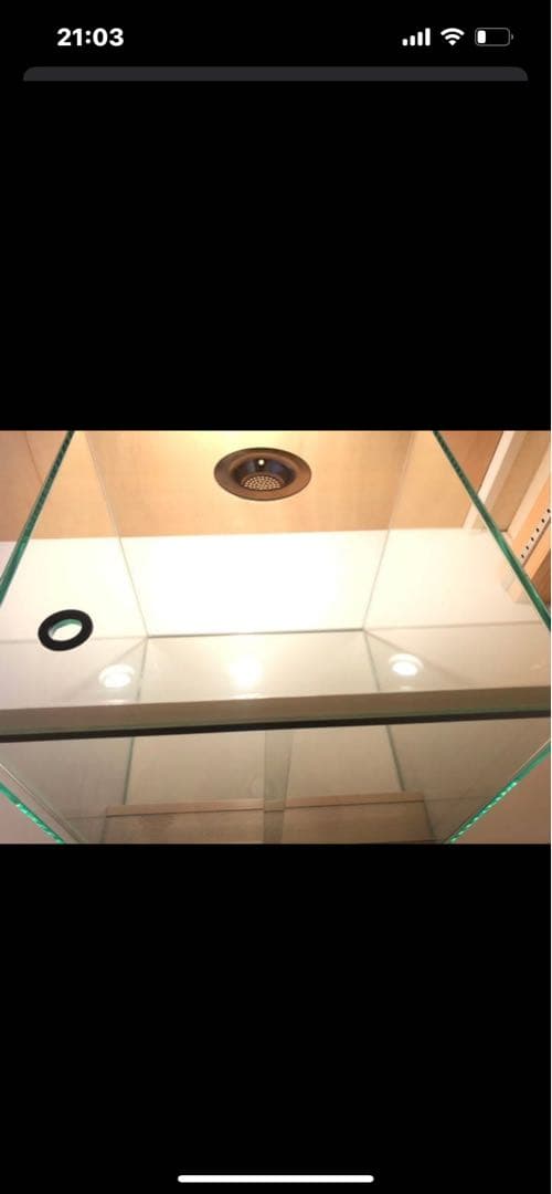 ★ガラスケージ★パルダリウム水槽30×30×30 ヤドクガエル・ビバリウム