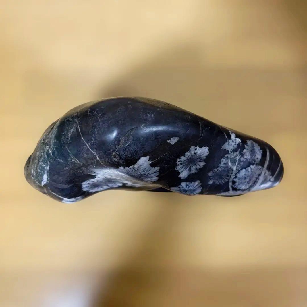 Jページ 菊花石