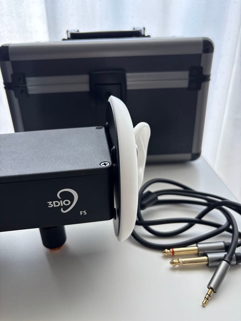 3DIO FS マイク ハードケース付き