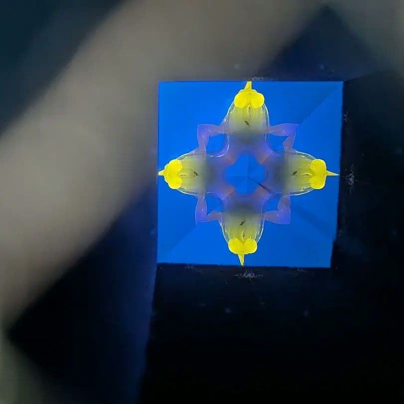 代永正樹　万華鏡　１点物