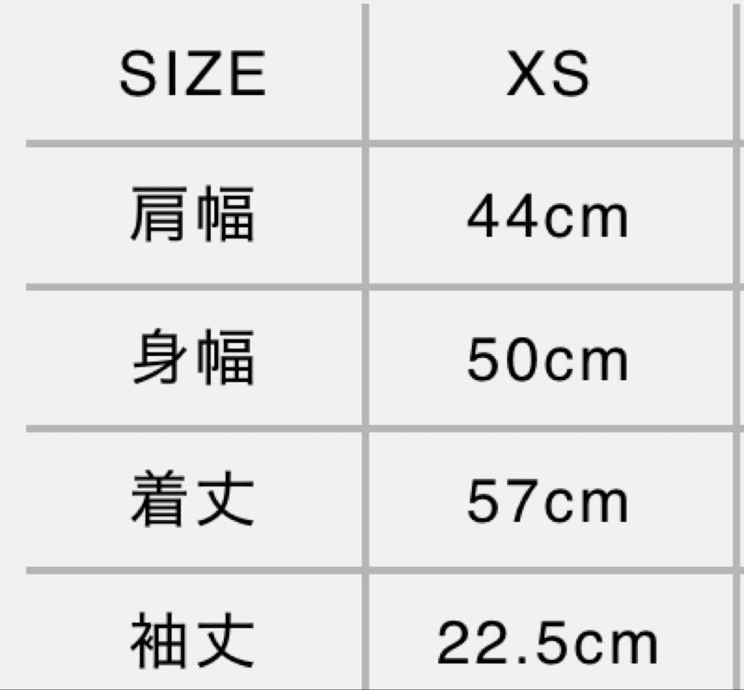 トップス STRONG PACK TEE SHORT (WHITE) XS OURs