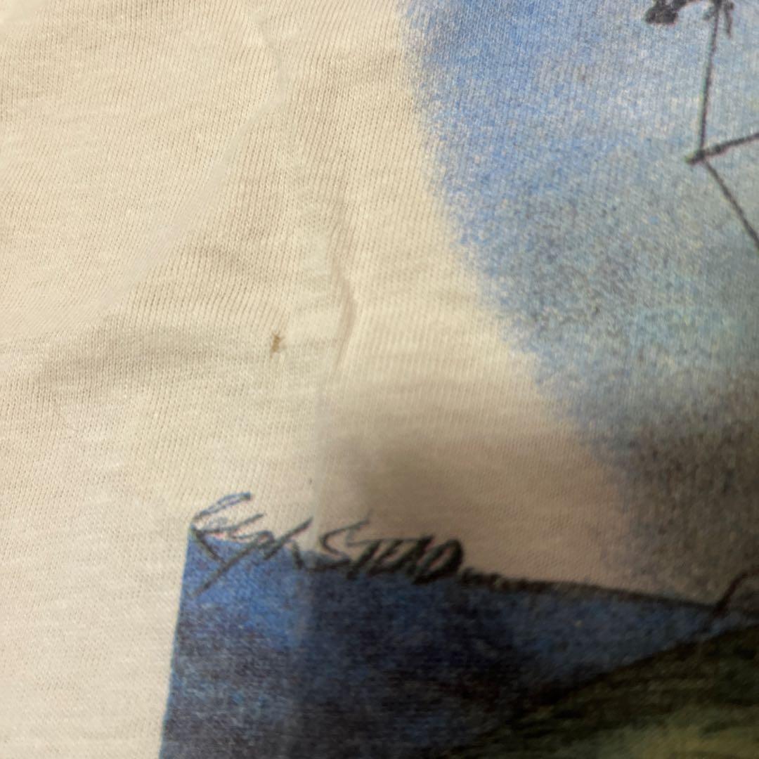 Hanes旧タグ、ロックバンド AMBROSIA Tシャツ USA製