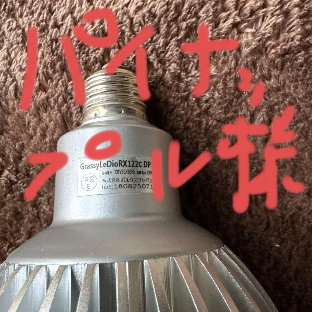 Grassy LeDioRX122c.DP 交換球