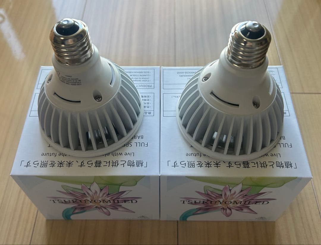 TSUKUYOMI LEDライト10W 2個セット