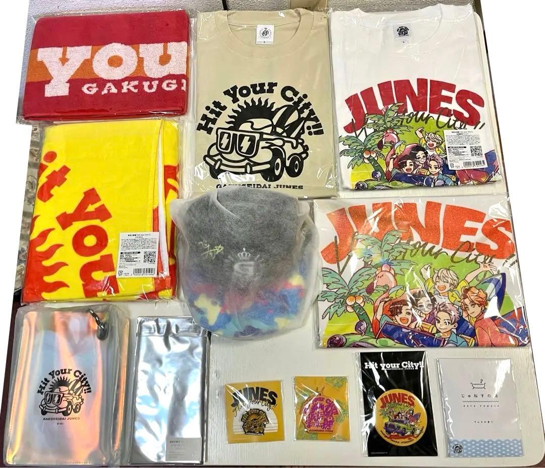 【学芸大青春】グッズ まとめ売り