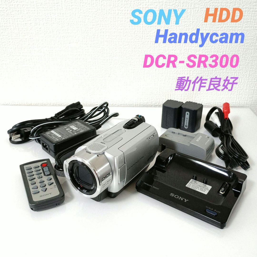 SONY ハンディカム DCR-SR300 デジタルビデオカメラ