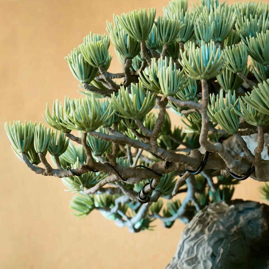 その他 SRL X BANDAI SPIRITS BONSAI MODEL KIT