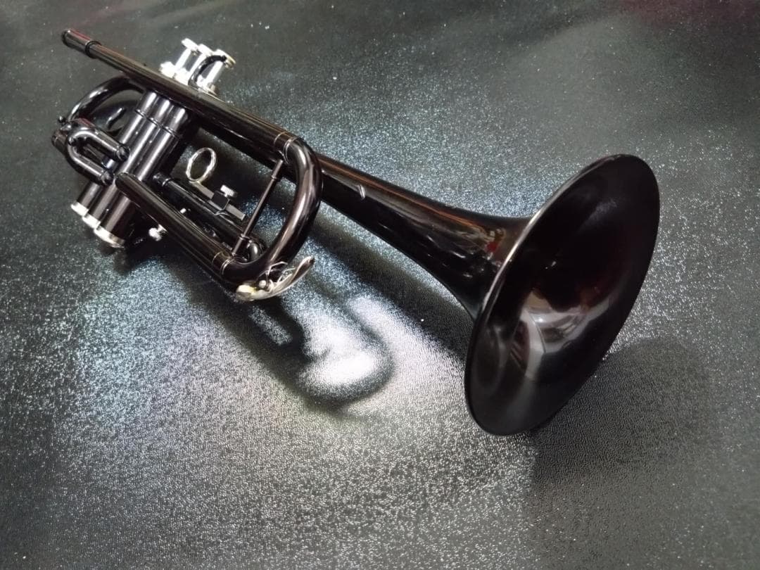 ￥29,180（税込）の品　Kaerntner トランペット KTR(ブラック)