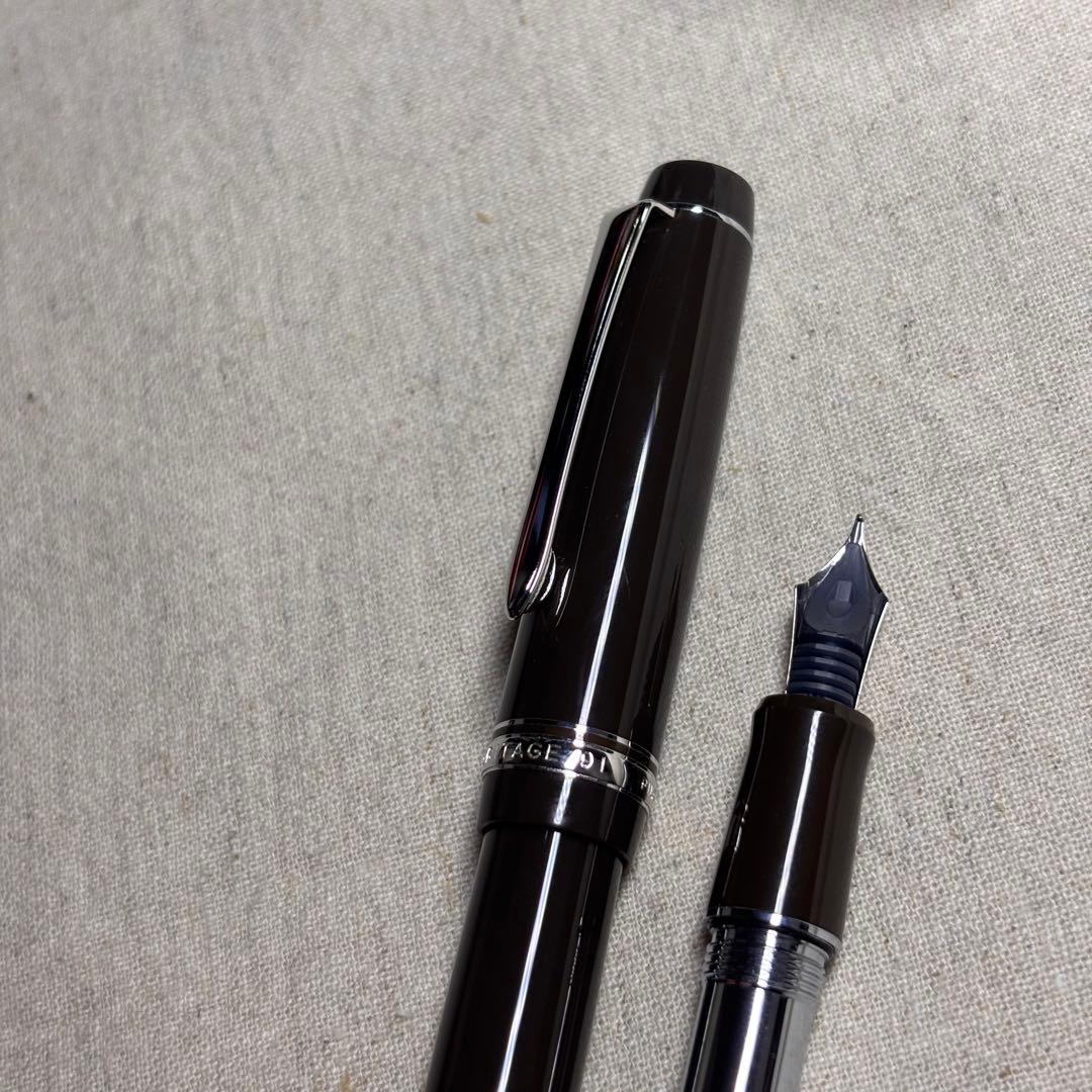 PILOTパイロットカスタム　ヘリテイジ91 万年筆 山栗