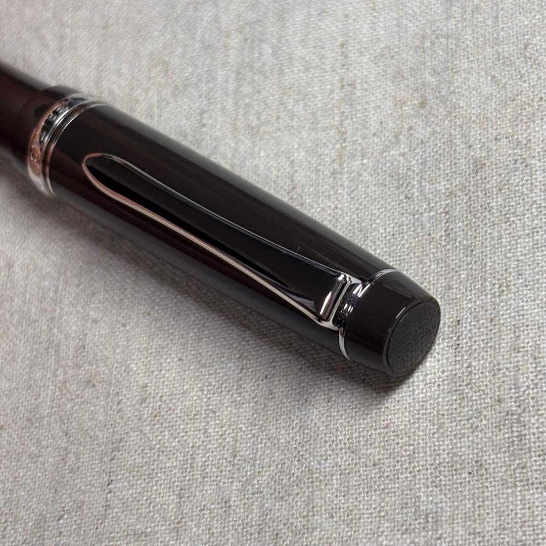 PILOTパイロットカスタム　ヘリテイジ91 万年筆 山栗