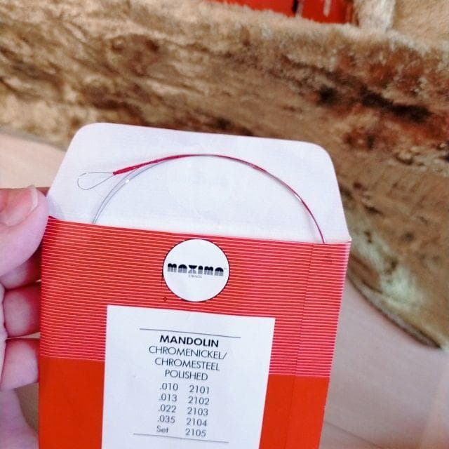 マンドリン　S.Watanabe 渡辺精次 高級　ハードケース付