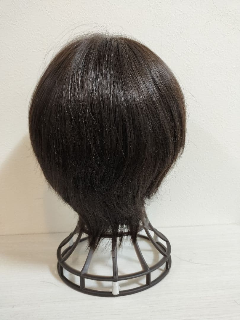 ＊最終値下＊ジュリアオージェ 医療用ウィッグANCS フルウィッグ