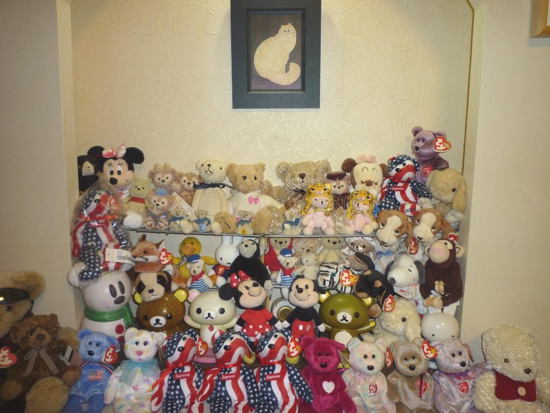 LUMIX★DMC-FX40⭕️安心実働品★5倍ズーム★1210万画素★レッド