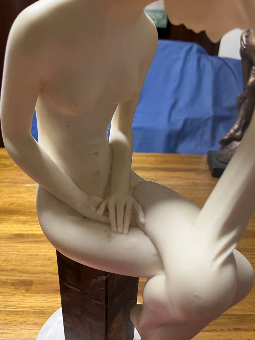 「Toros of a Nude」 アレクサンダー　ダネル作　オースティンプロ