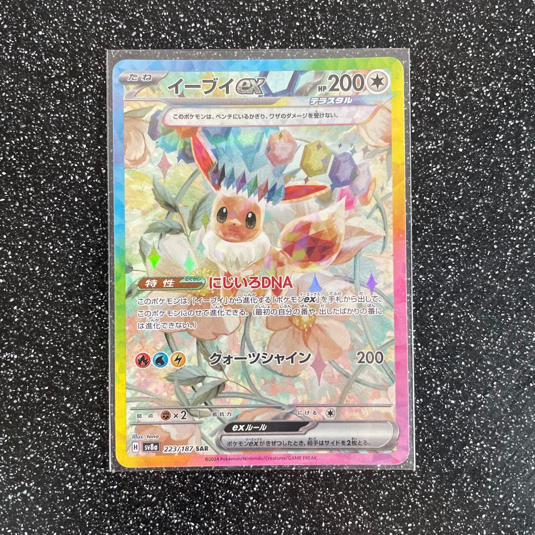 生ちょこ ナンジャモSAR,イーブイEX SAR