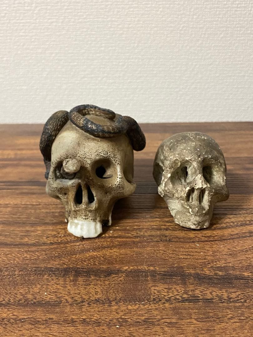 骨董レトロ髑髏野晒しスカル 2個セット 蛇付き 樹脂製