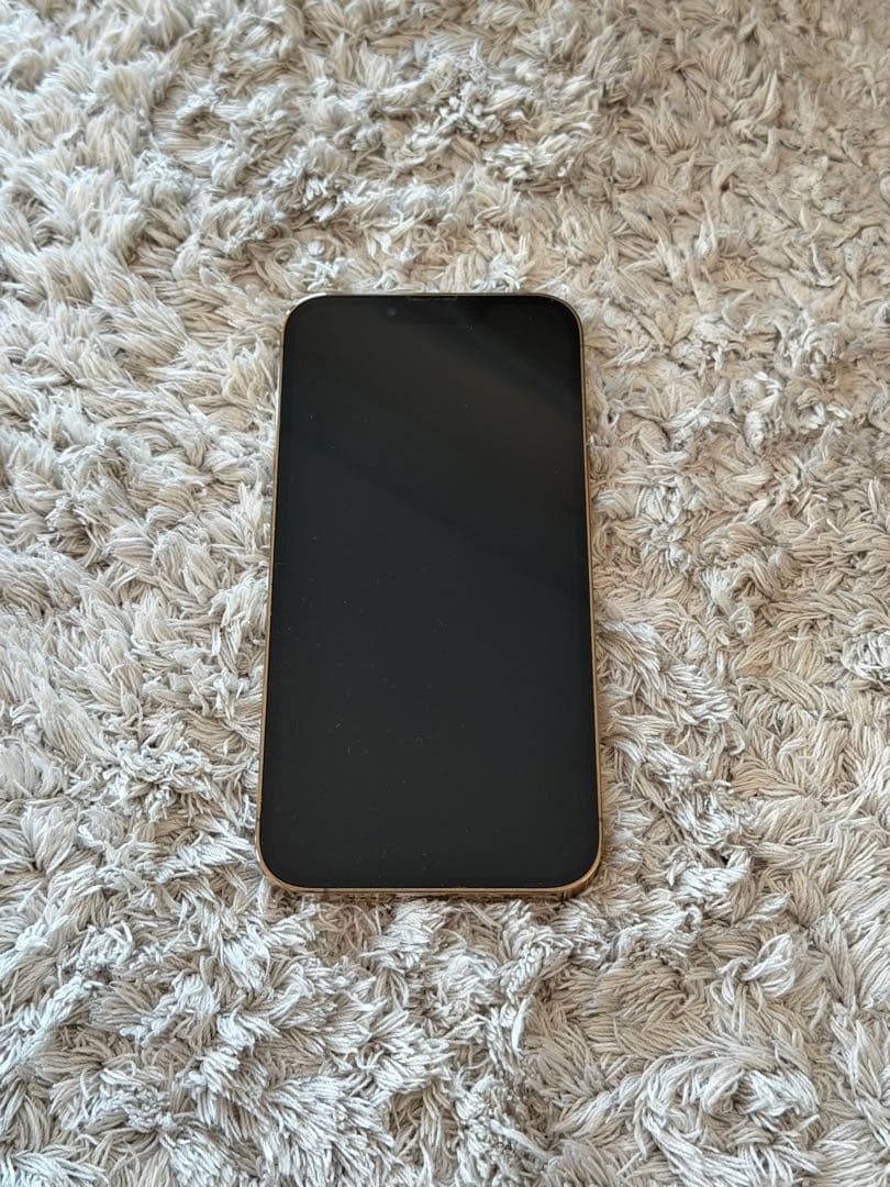 海外版シャッター音なし⭐️iPhone13pro 256GB