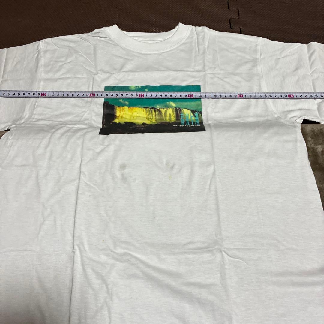 専用専用1997年の香港映画『ブエノスアイレス』（原題.春光乍洩Happy