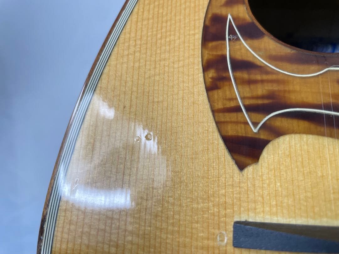 ラファエル・カラーチェ TYPE.15 ラウンドマンドリン