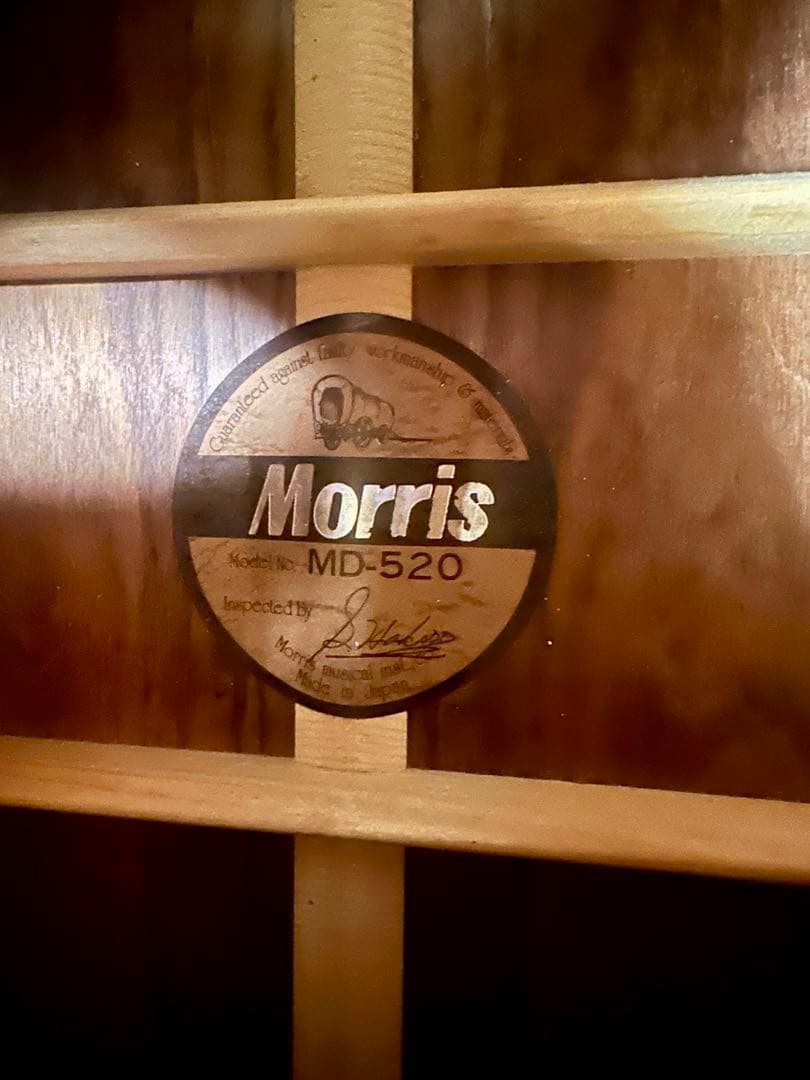 Morris アコースティックギター MD 520