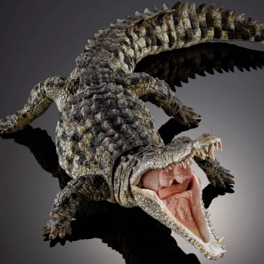 ナイルワニ（ライトカラー） いきもの大図鑑アルティメット